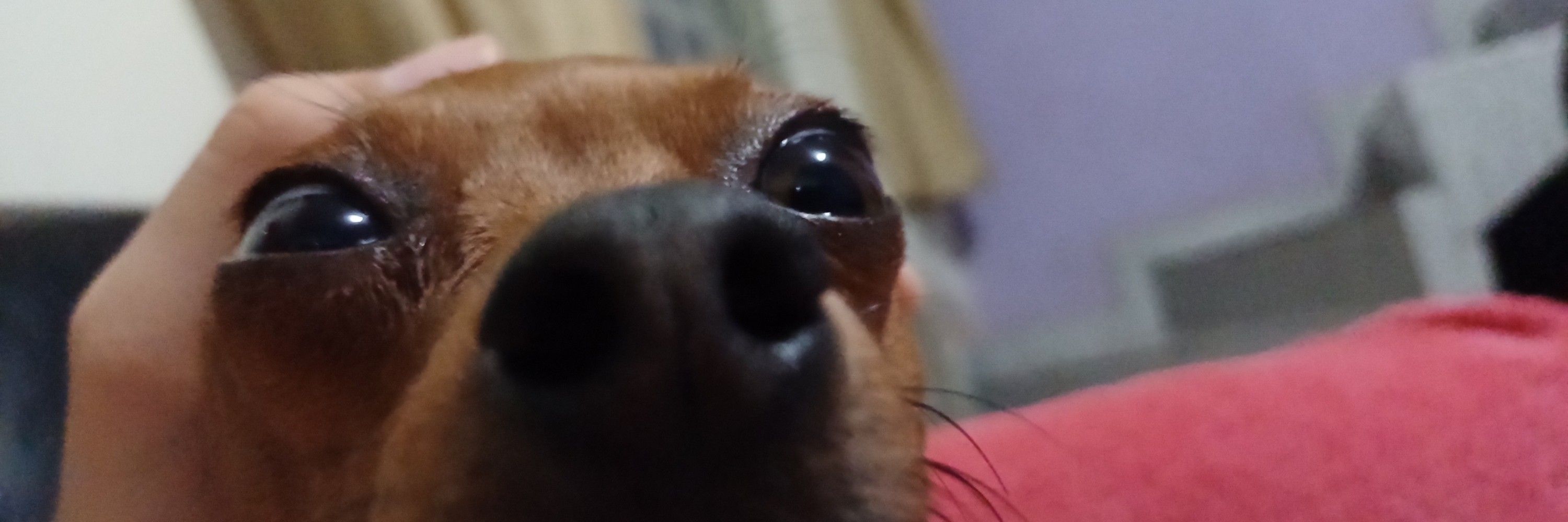 Namorado na Giiiiiiii