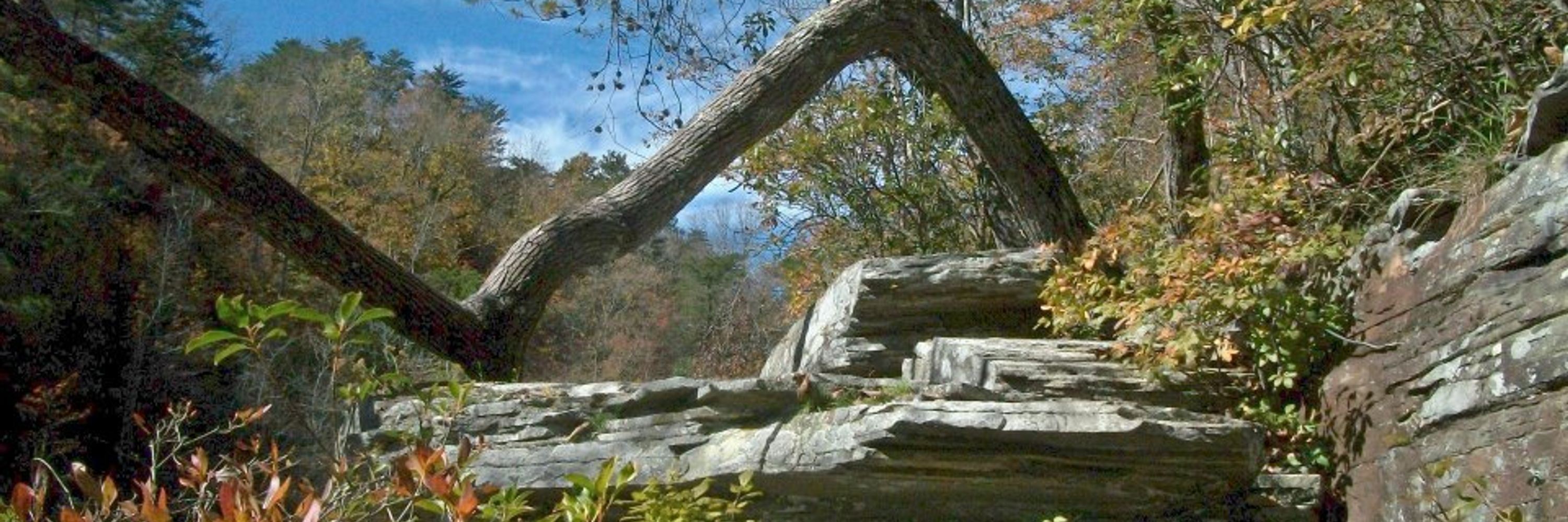 Eve -Georgia