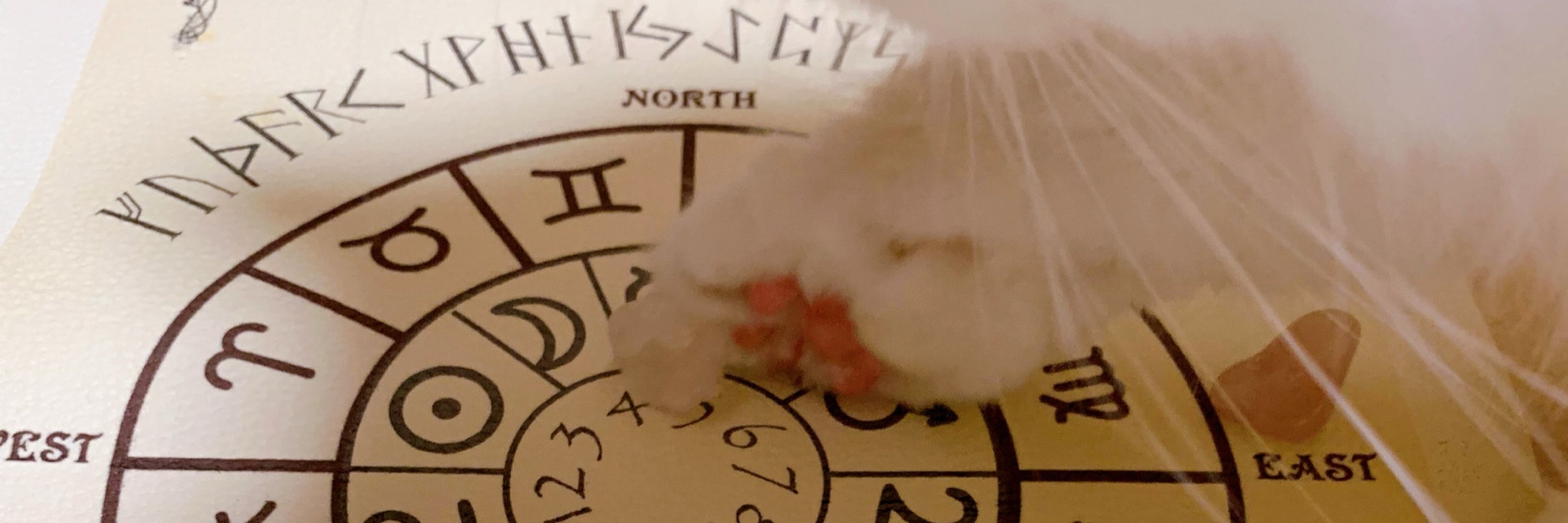 ✩⁺˚ 猫オババ ˚⁺✩