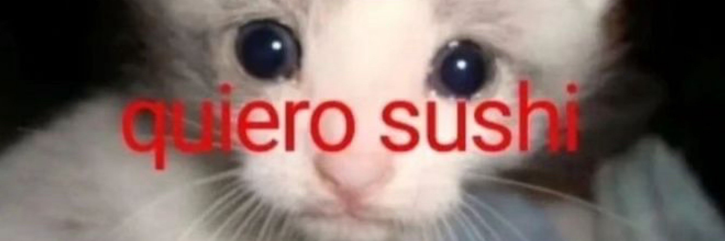E-girl do PCO