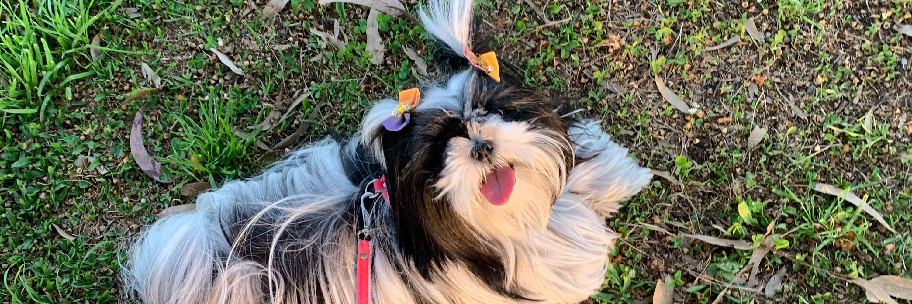 Carla 🦋