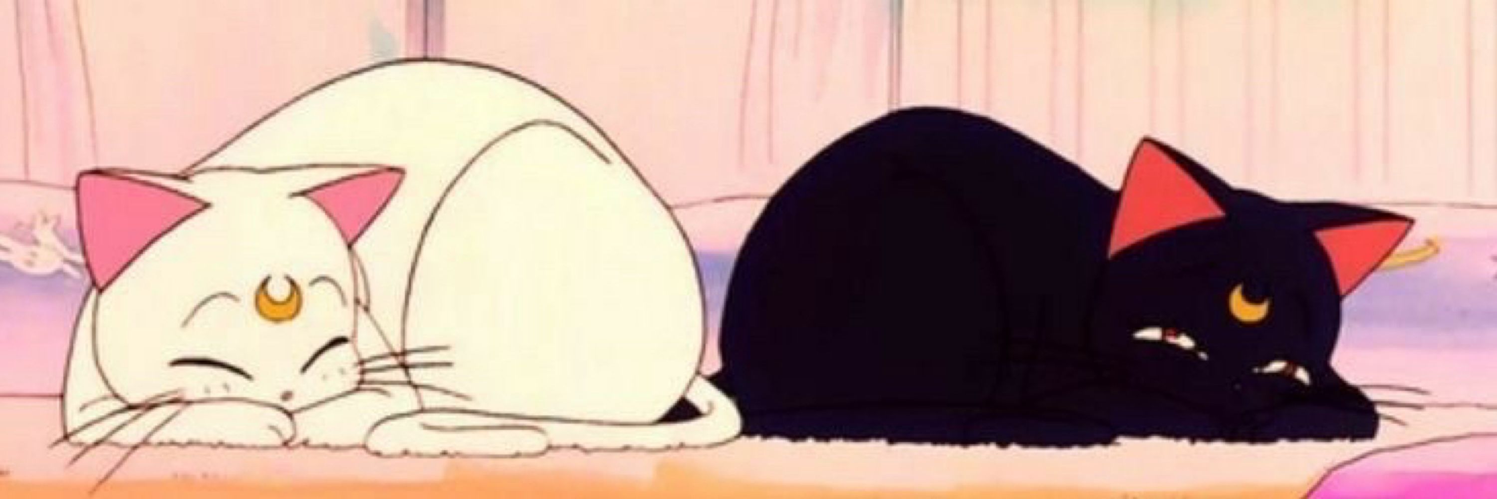 วินนี่เดอะภู