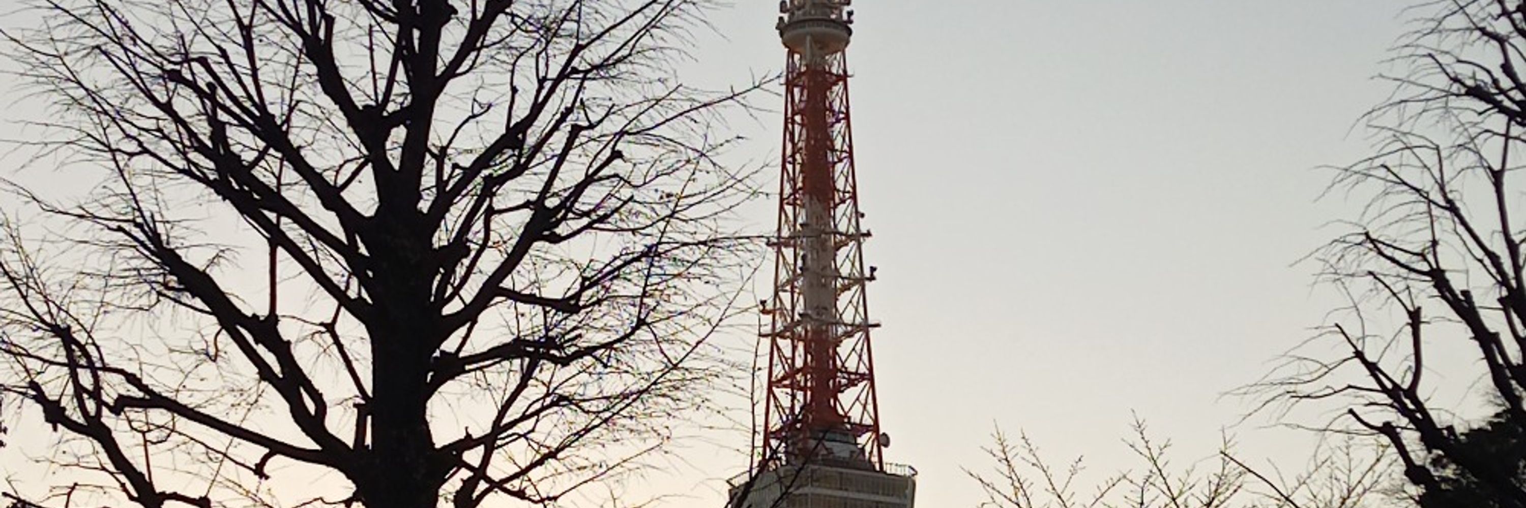 たかさん
