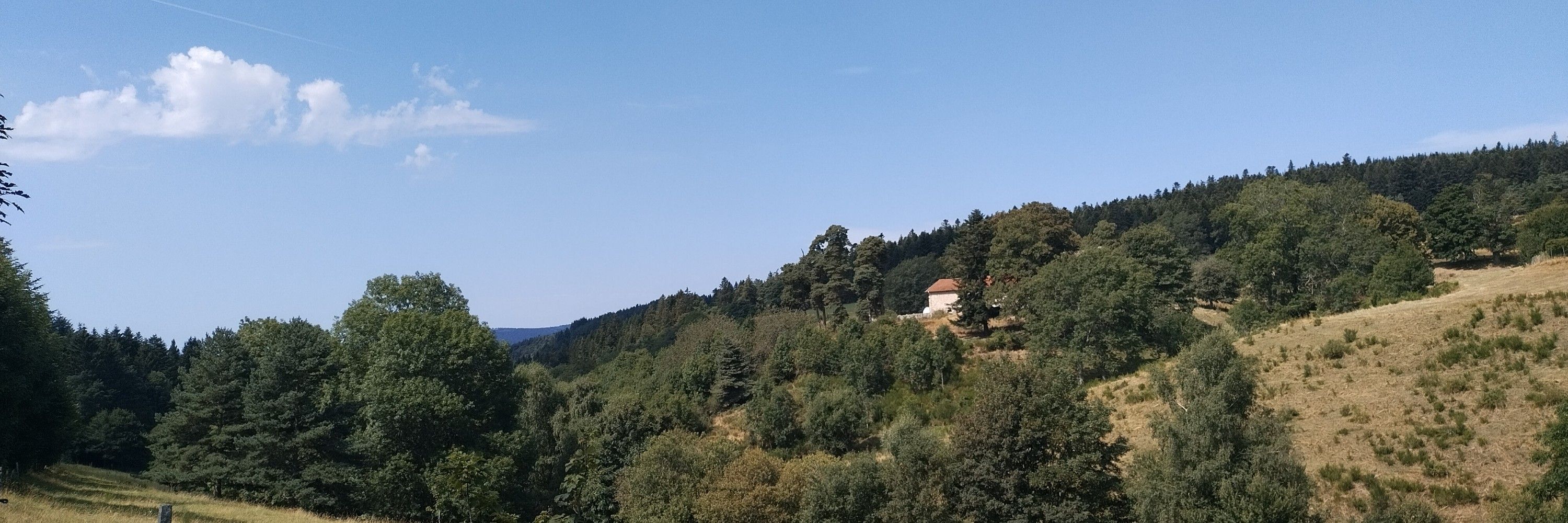 Nómada Perpetua