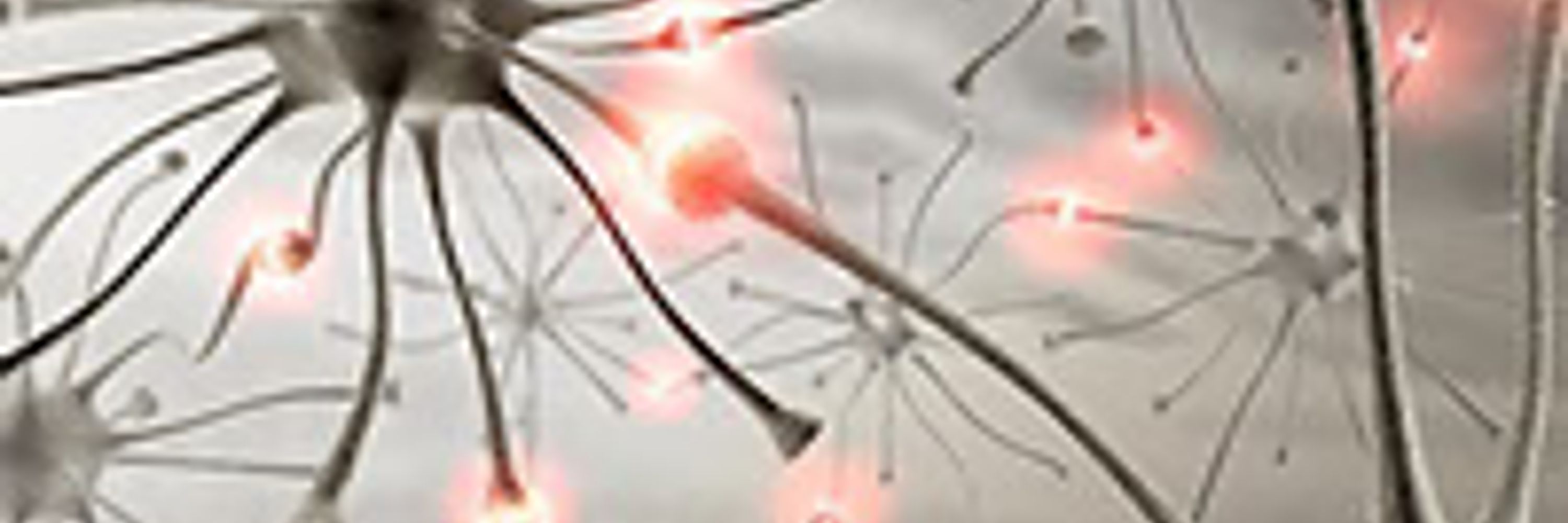 Neurotech Network