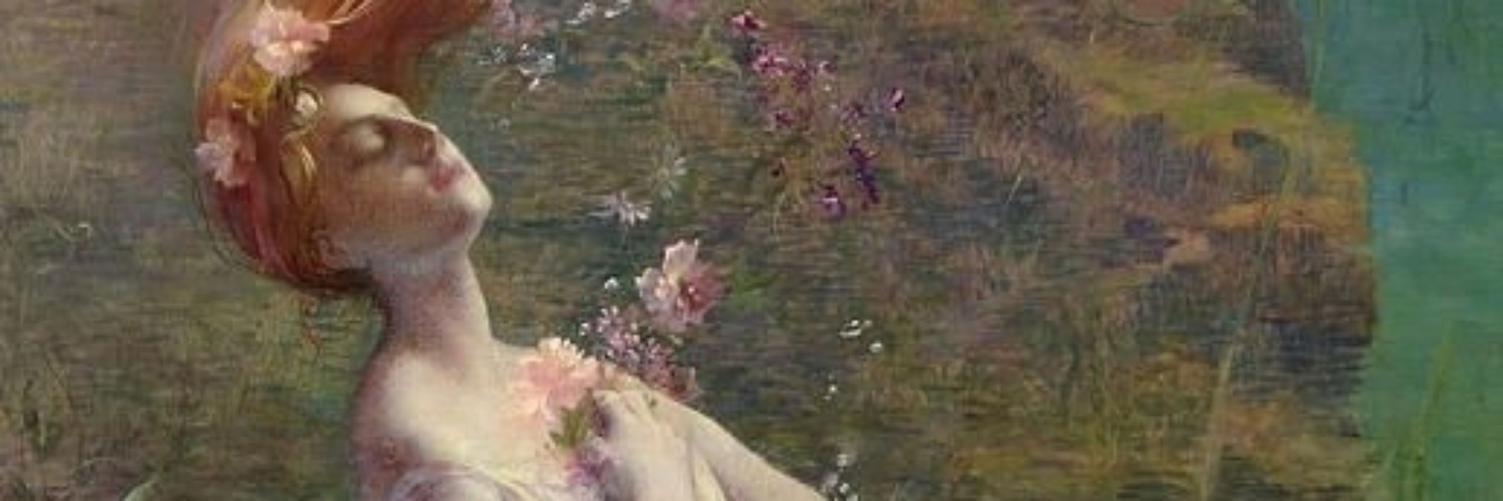 Iroca