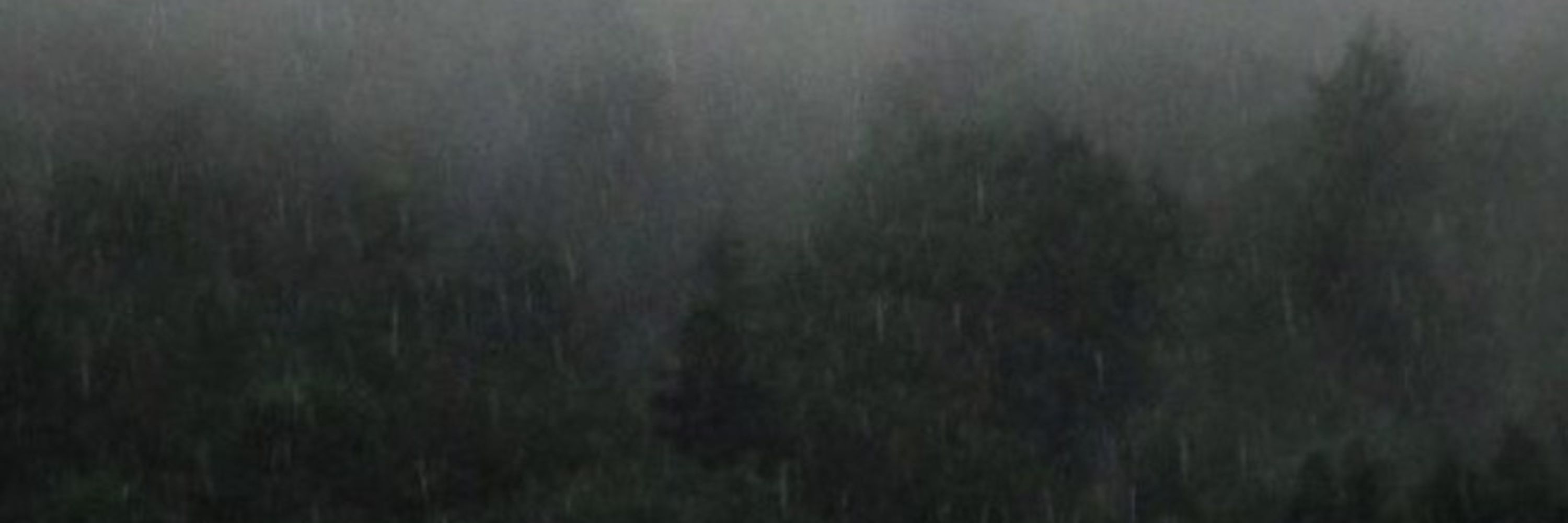 bill 🌲🏴⛓️