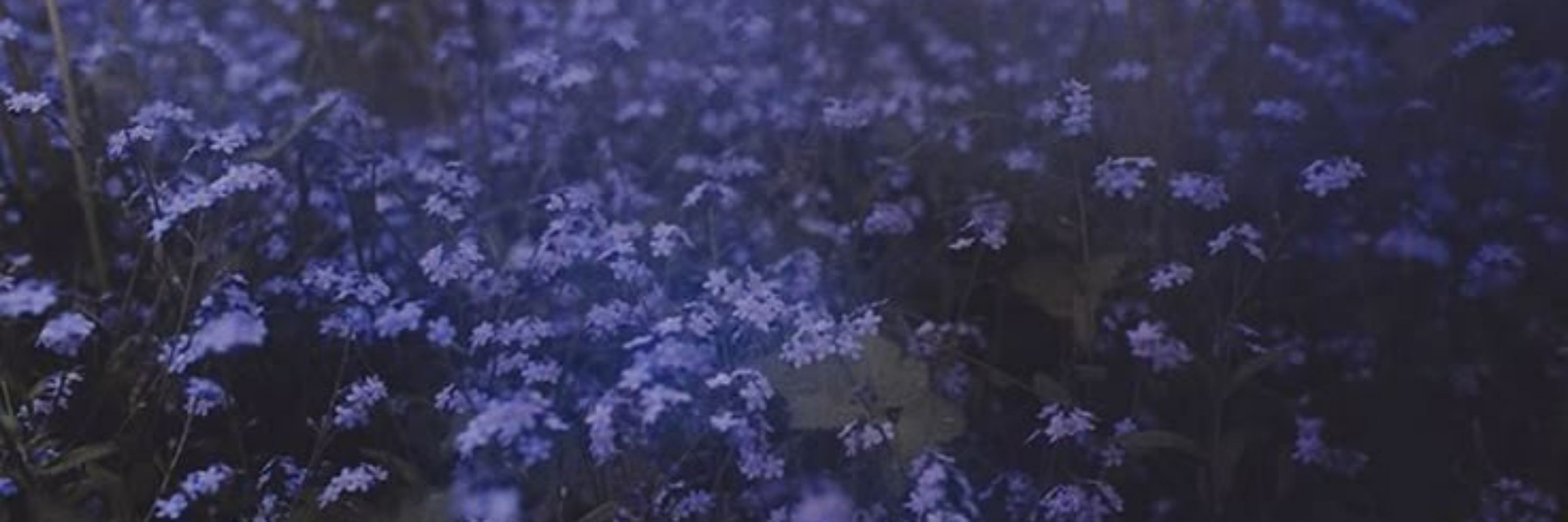 🌌|Moss|🌌