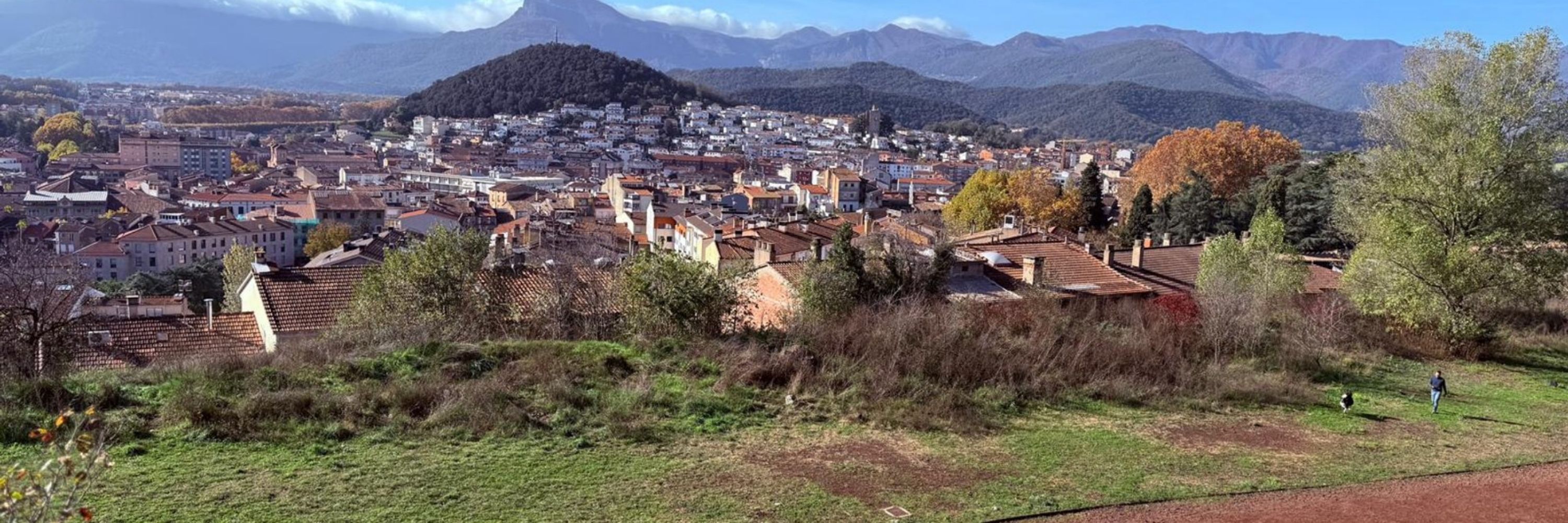 Brígida