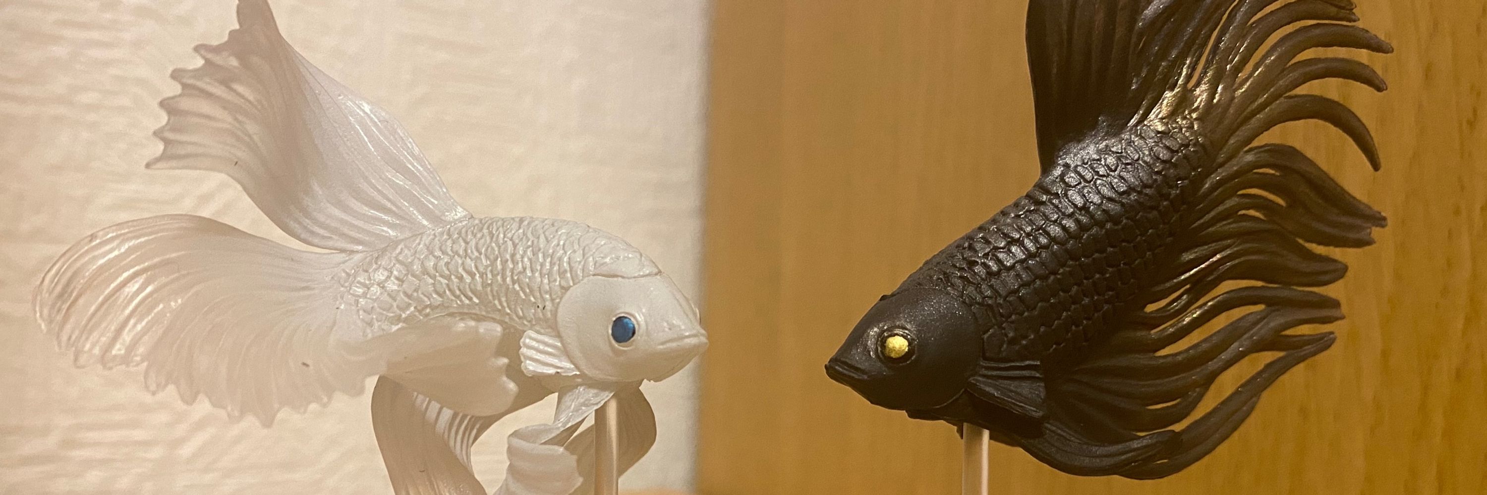 ノコ茸