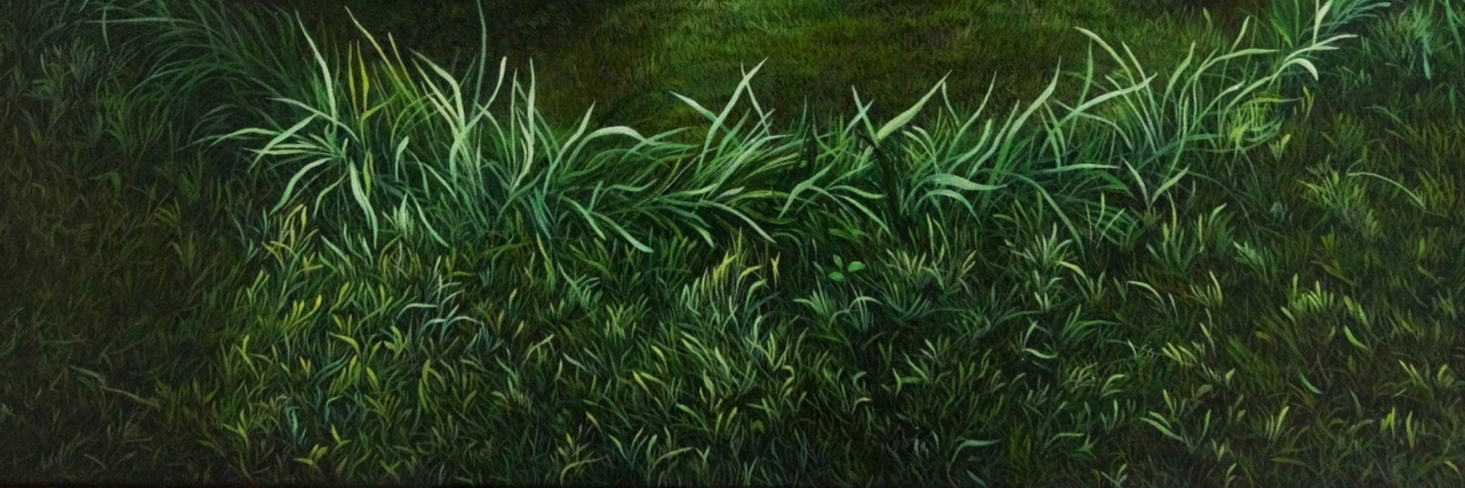 Lys