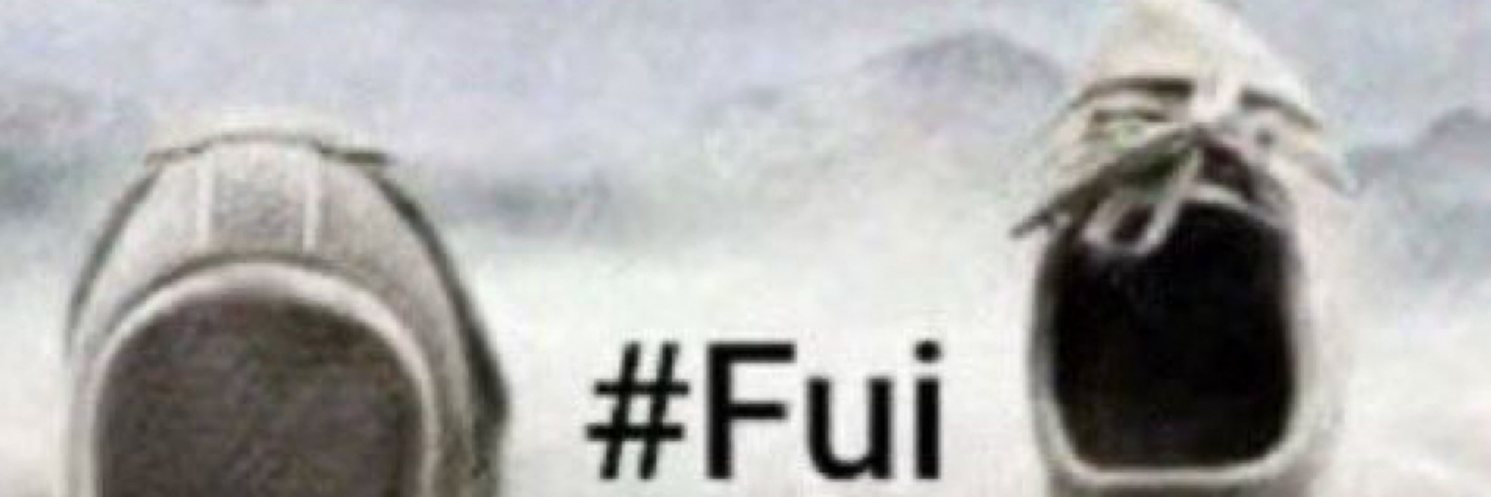 an