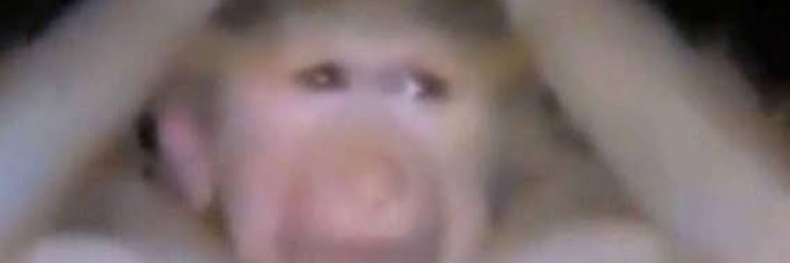 Kev 
