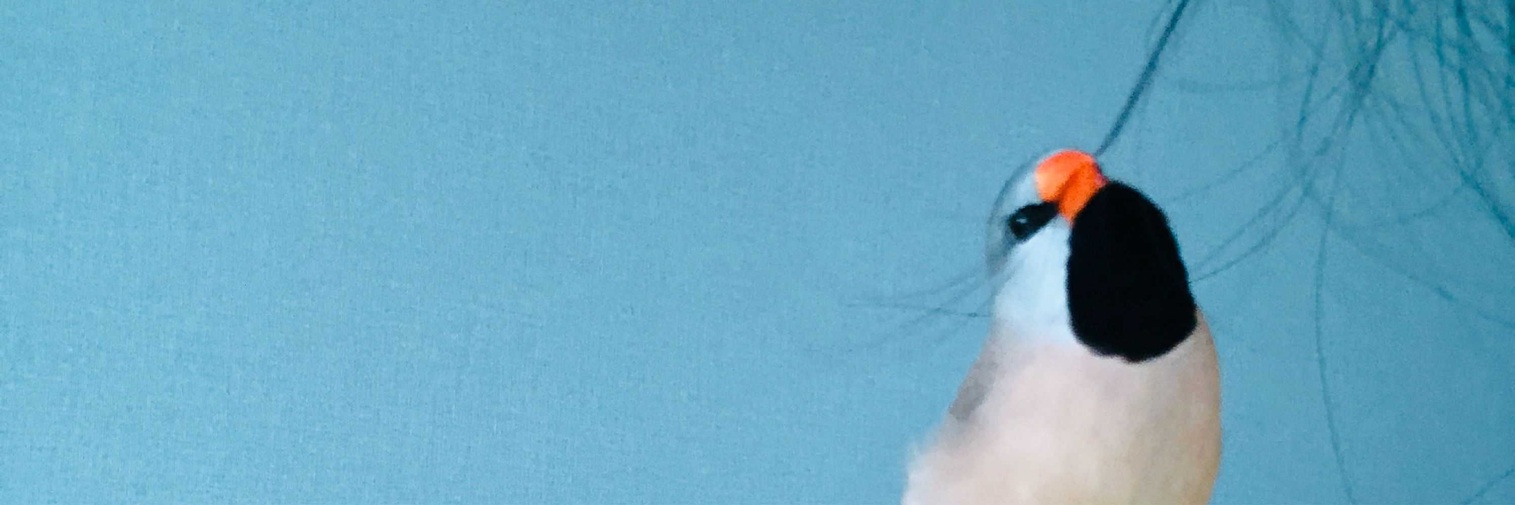 동타쿠