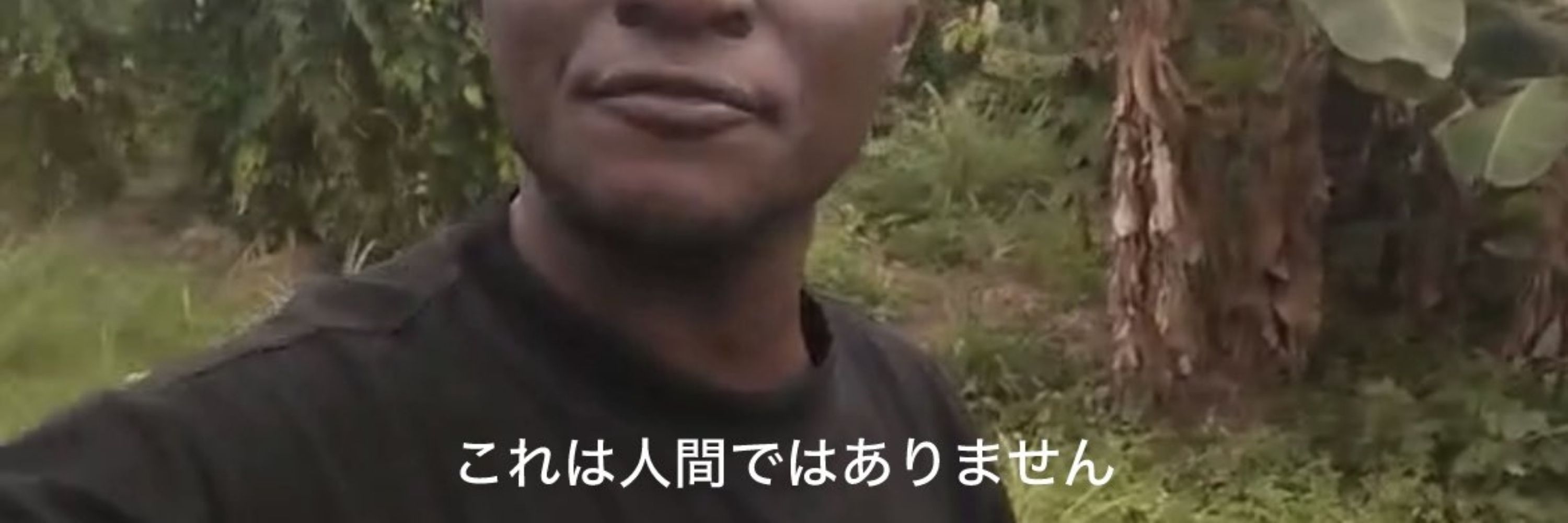 内臓戦隊モツレンジャー🧠🫀🫁💥💥💥