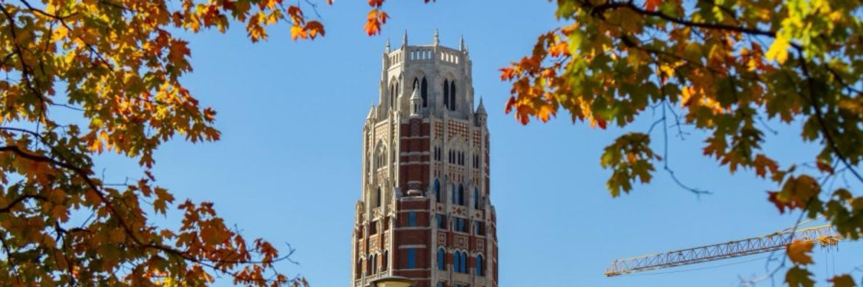 The Vanderbilt Hustler