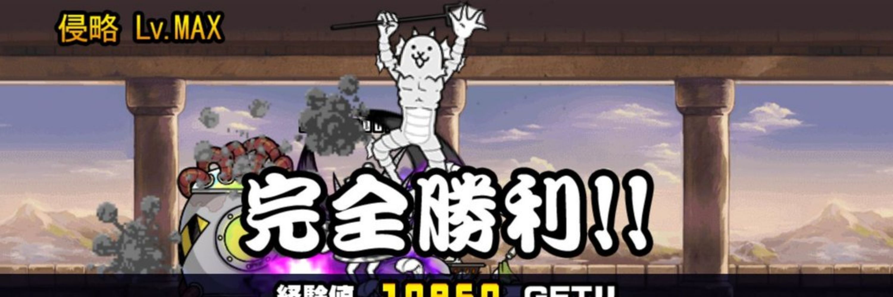 田舎育ちのにゃんこ民・弟