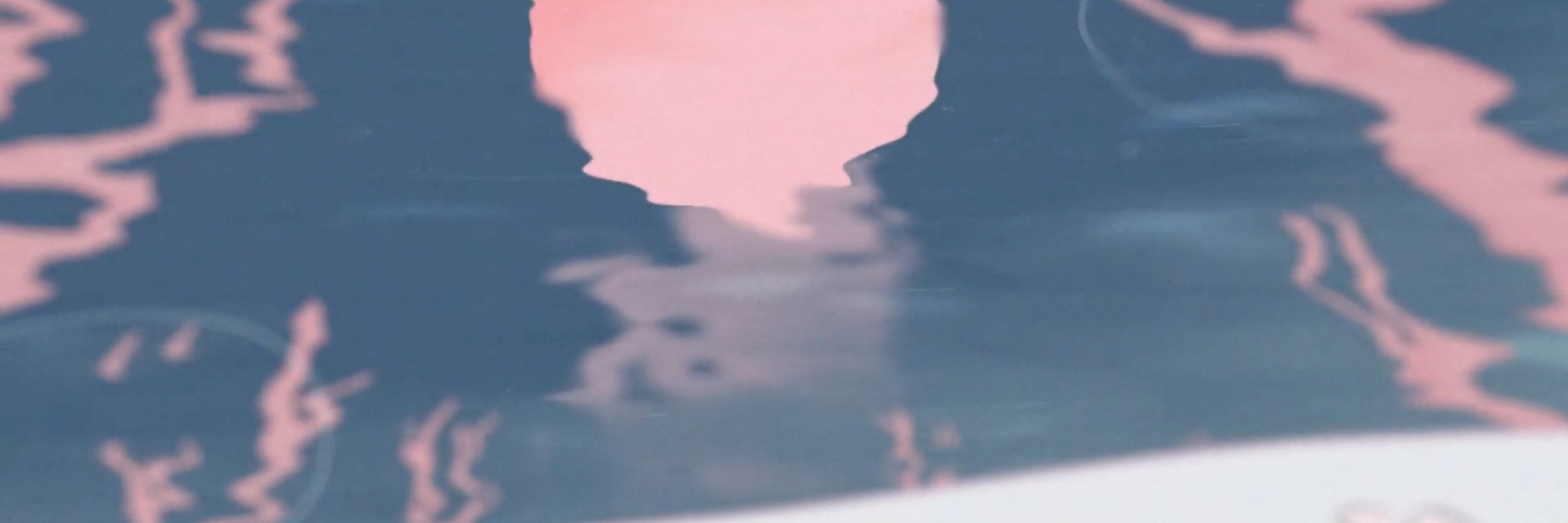 細菌/saikin