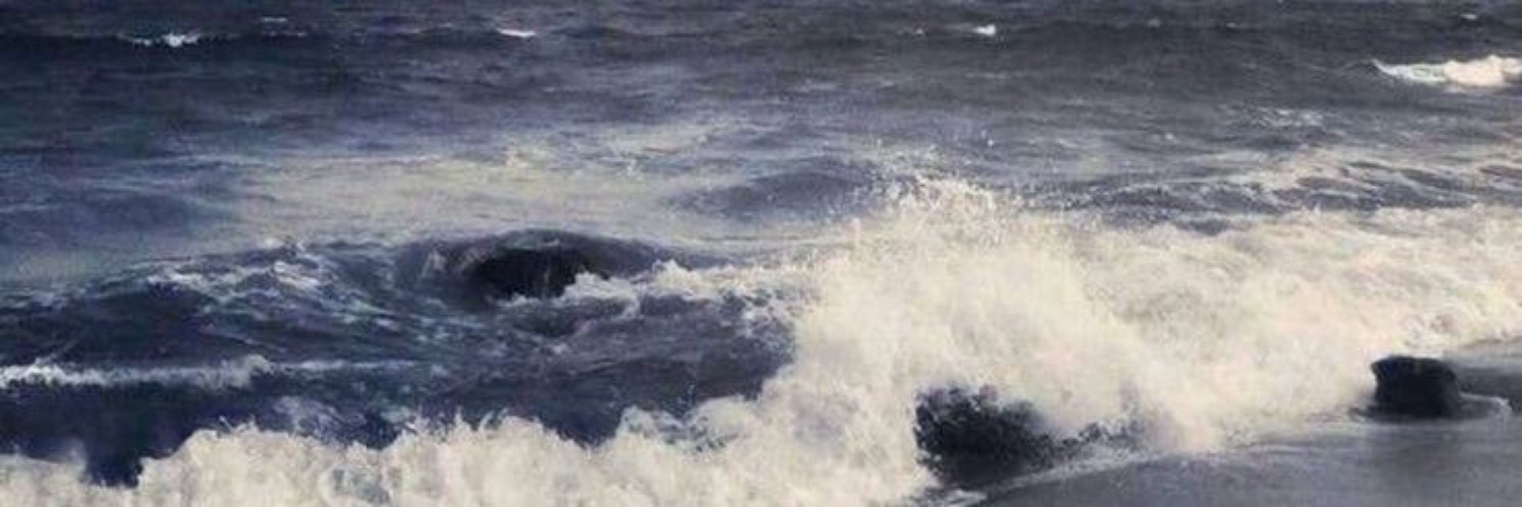 🌊