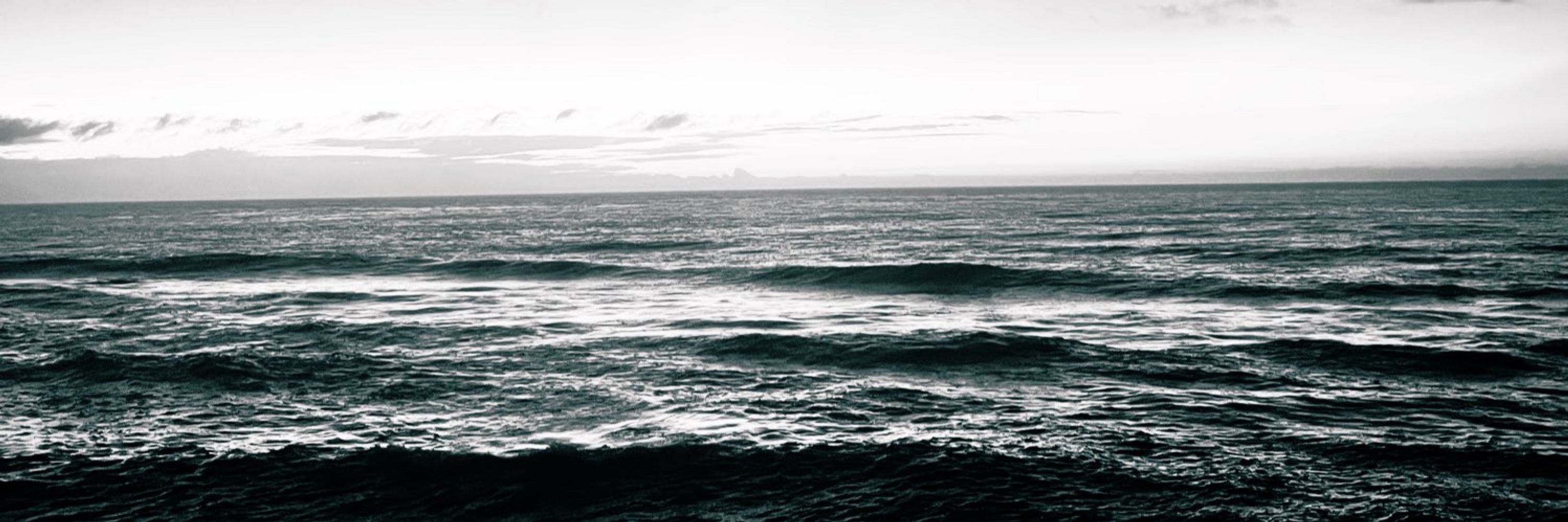 Pietra 🕊️ ✠ 