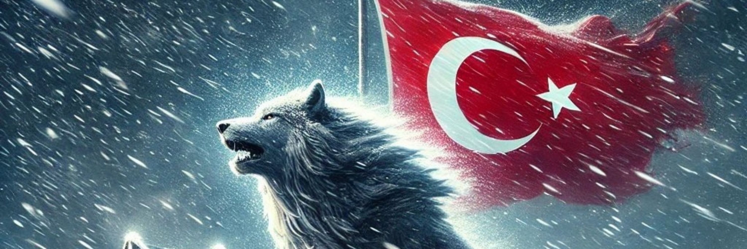 Memiş savaşcı