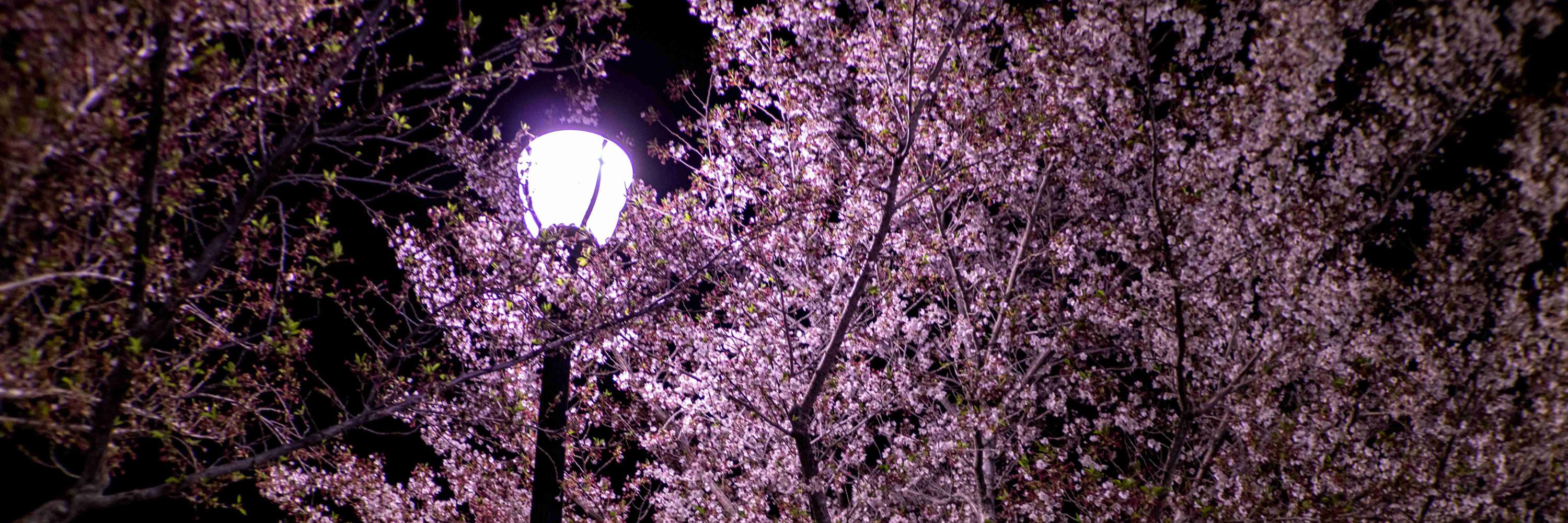 Moonpuzzle