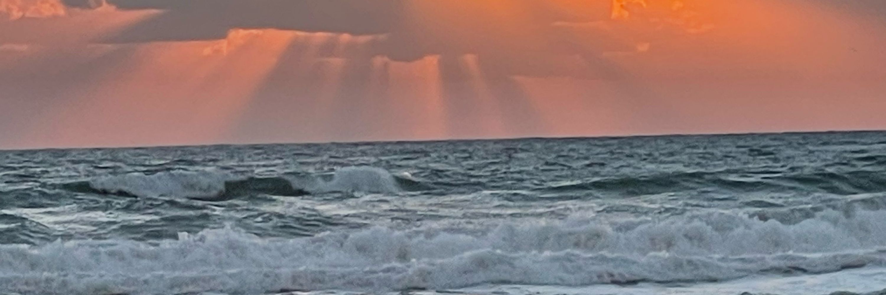 Gulf of Mexico Forever - Lib in ATX