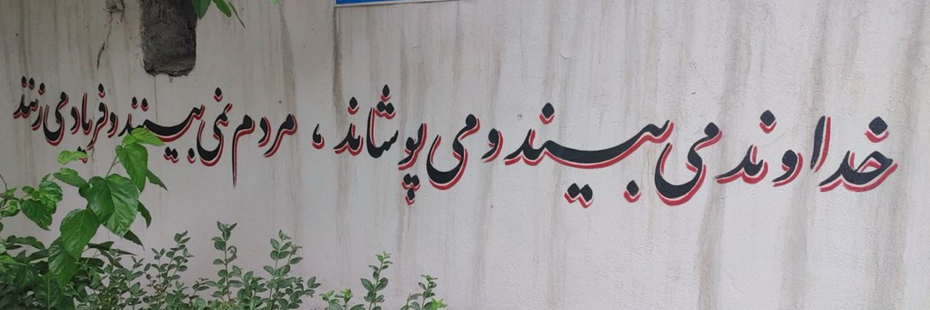 Armin Teimoorkhani