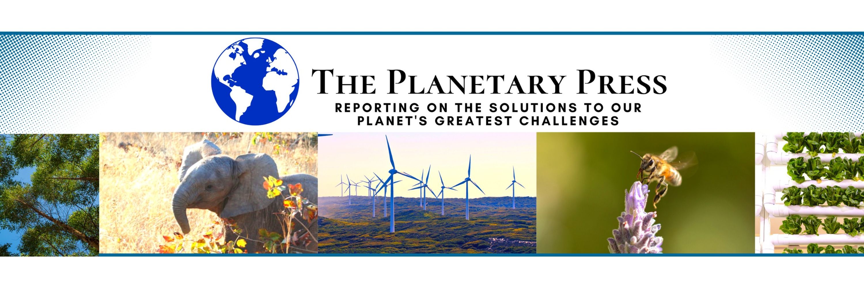 The Planetary Press