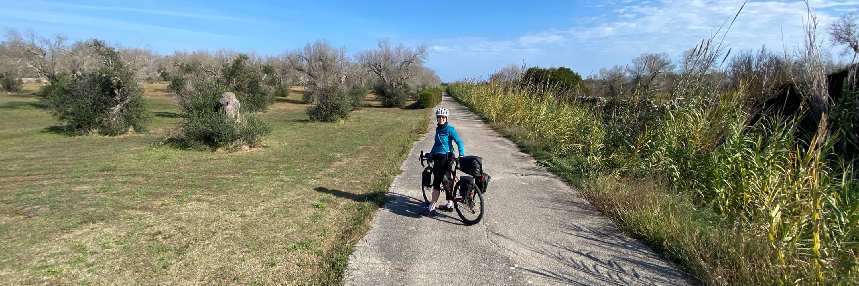 Bike Trails