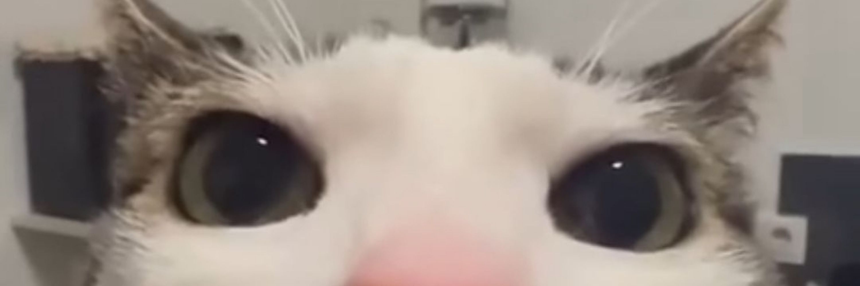 Nohaaa✨️