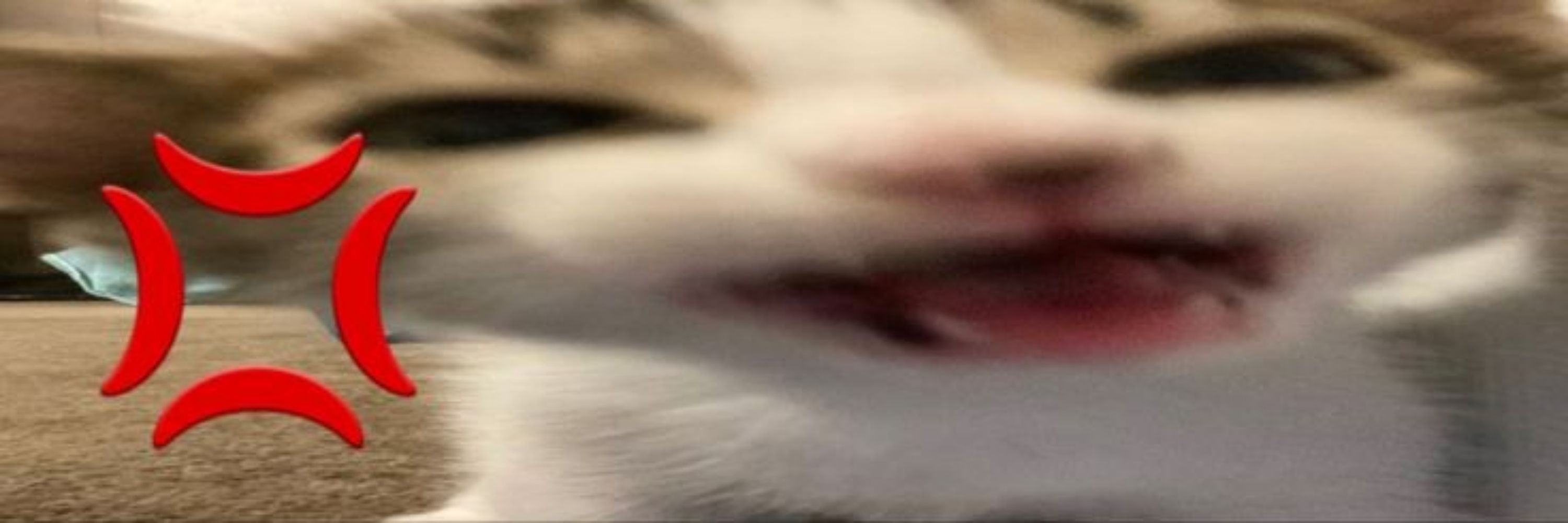 Lua
