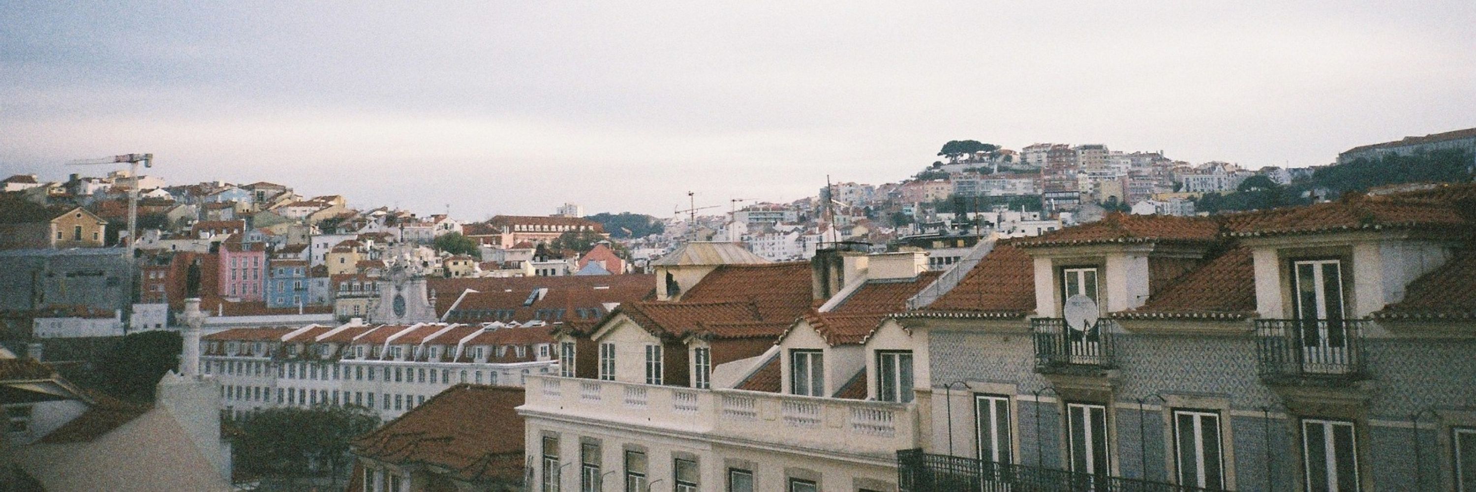 rosy