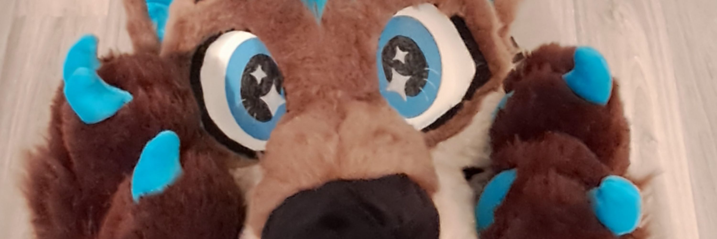 SkodyTF