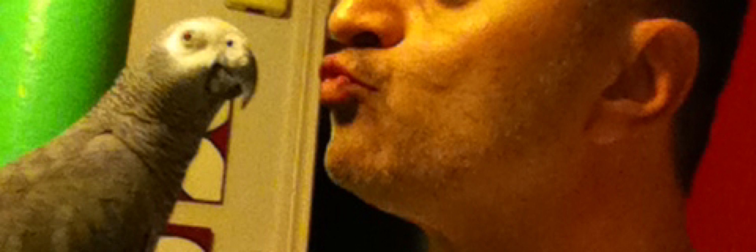 Luis Delgado