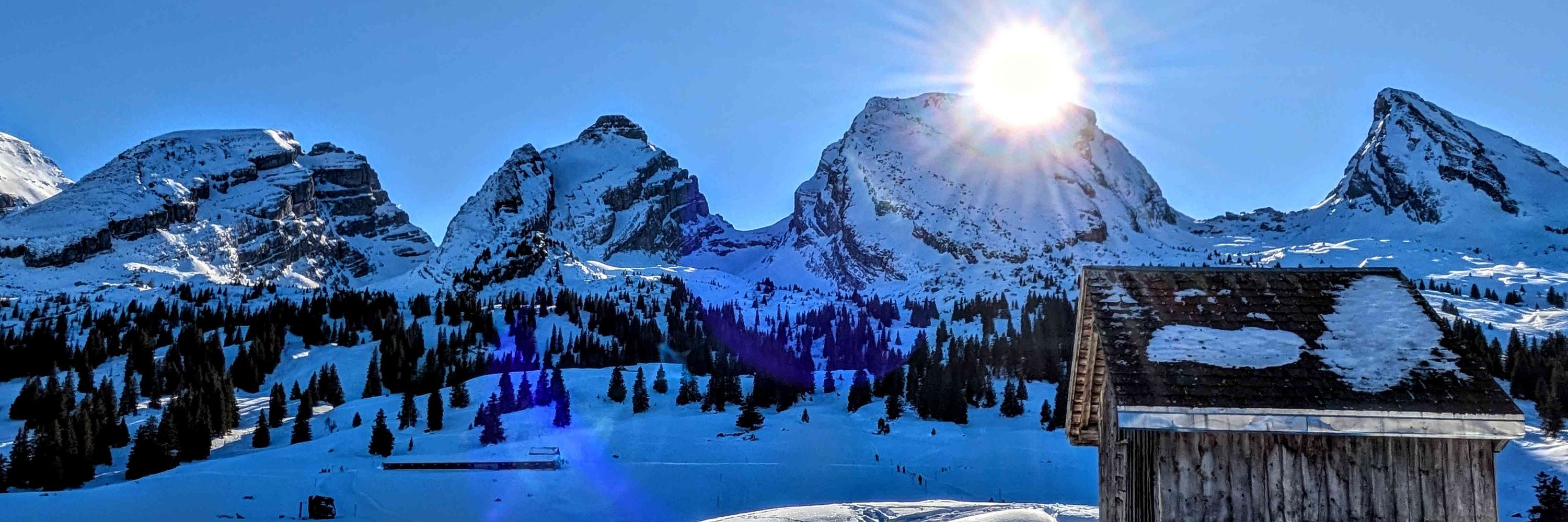 hdzimmermann 🇨🇭 🇪🇺 🇺🇦 🕊️
