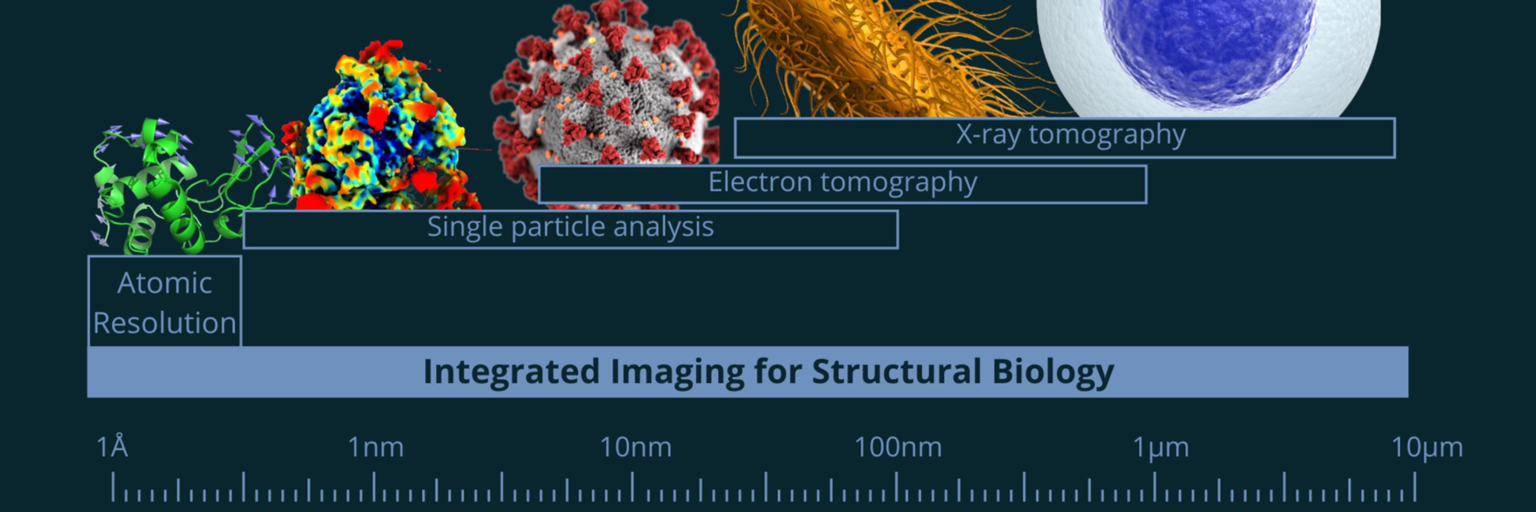 I2PC - Instruct Image Processing Center