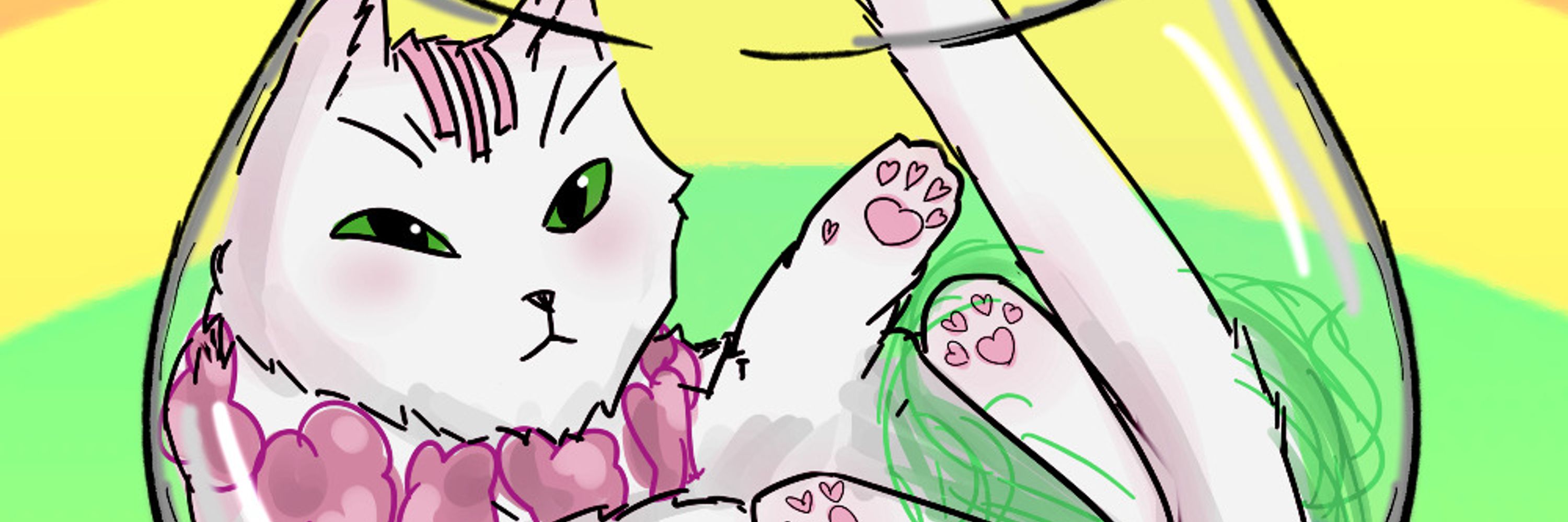 kimty 🕯️混沌猫 ✨🐾🌈🚀💻