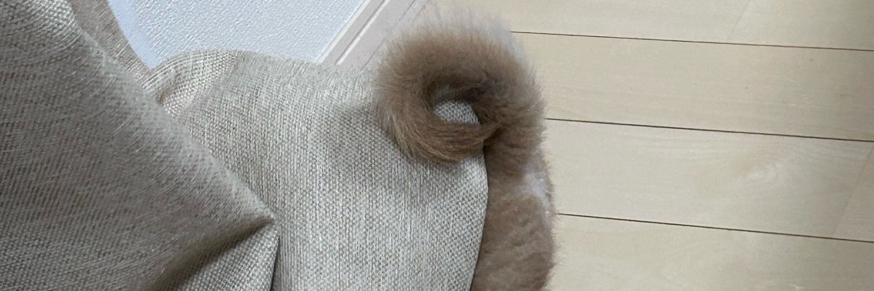 しばのしっぽ