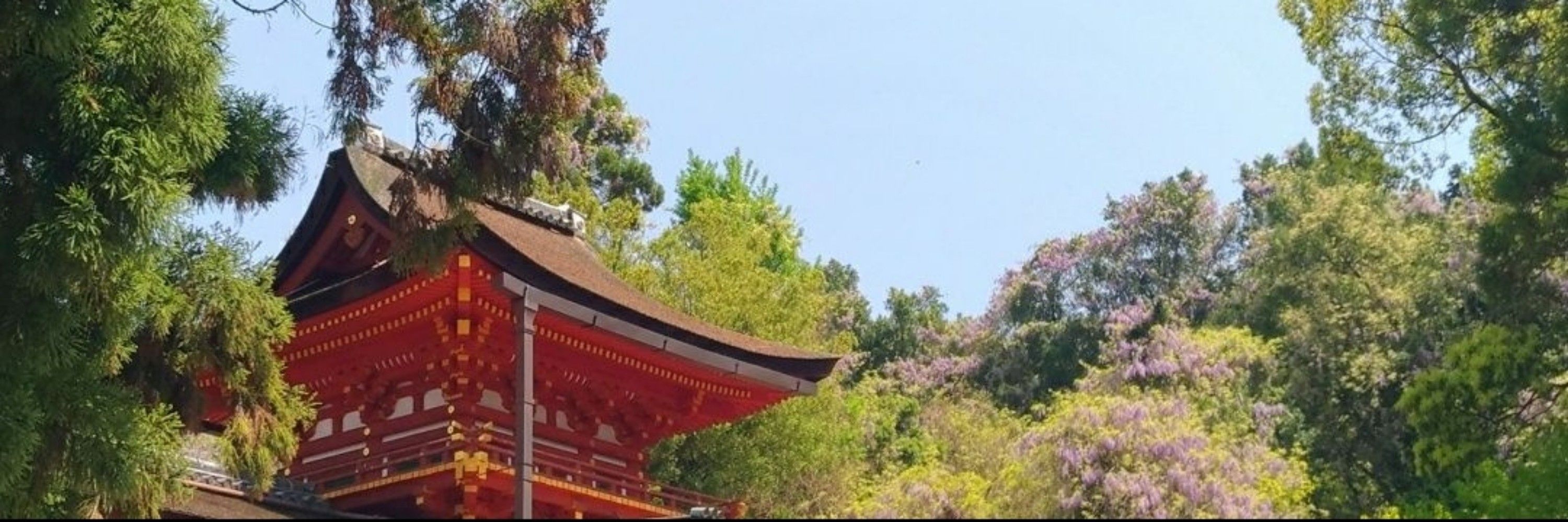 久高ゆず