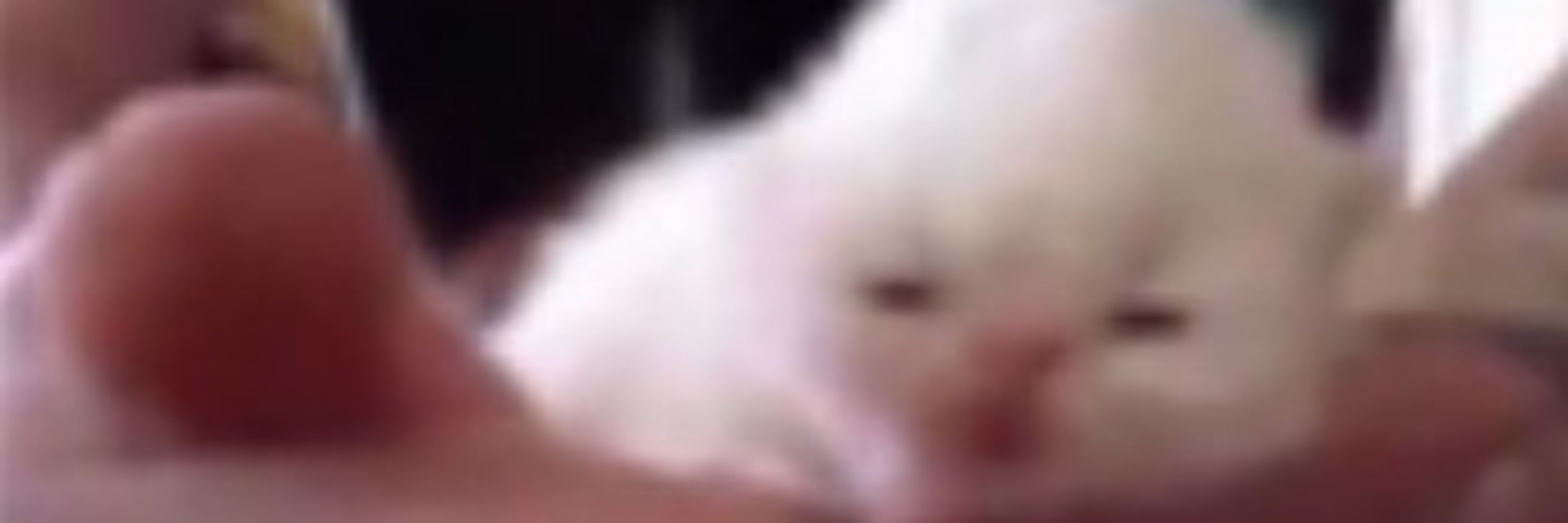pipiu