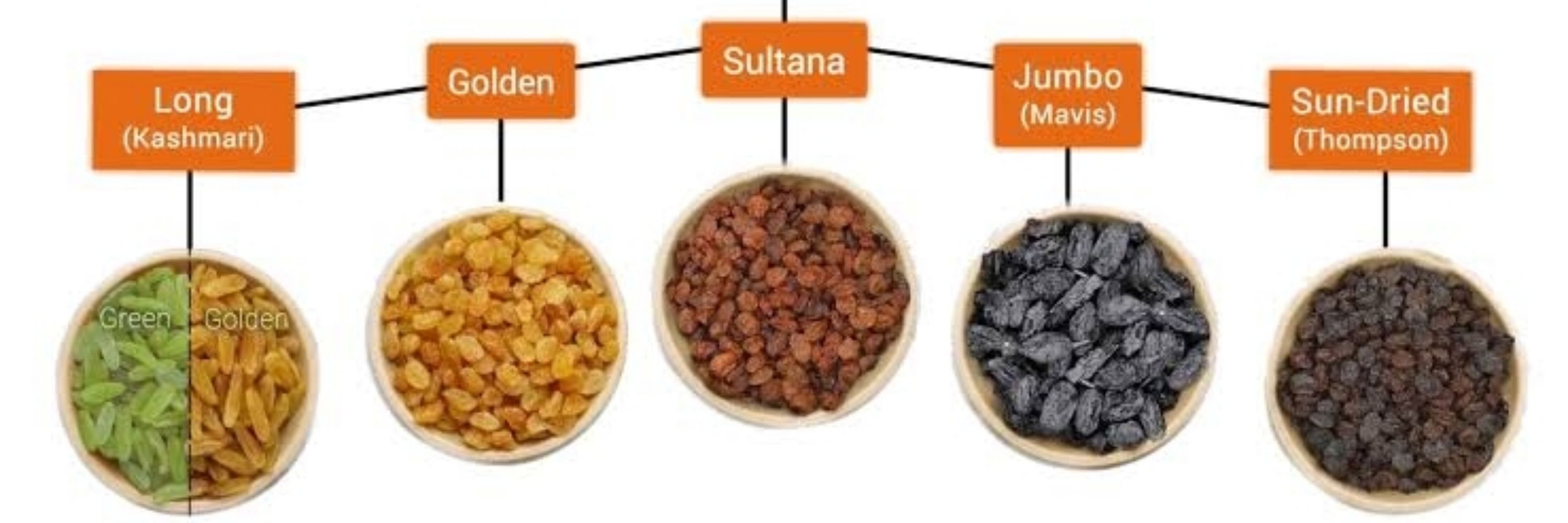 Raisineer