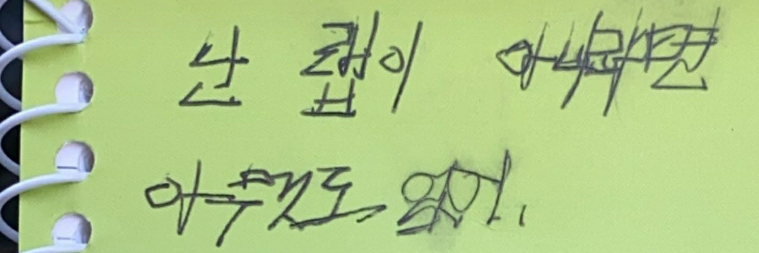 지윤