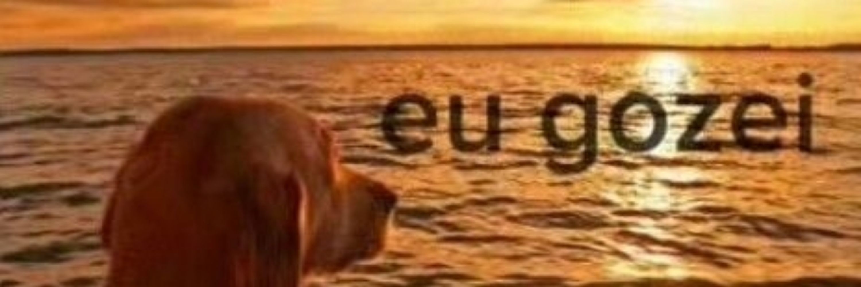 Lucrecio sem pinguim