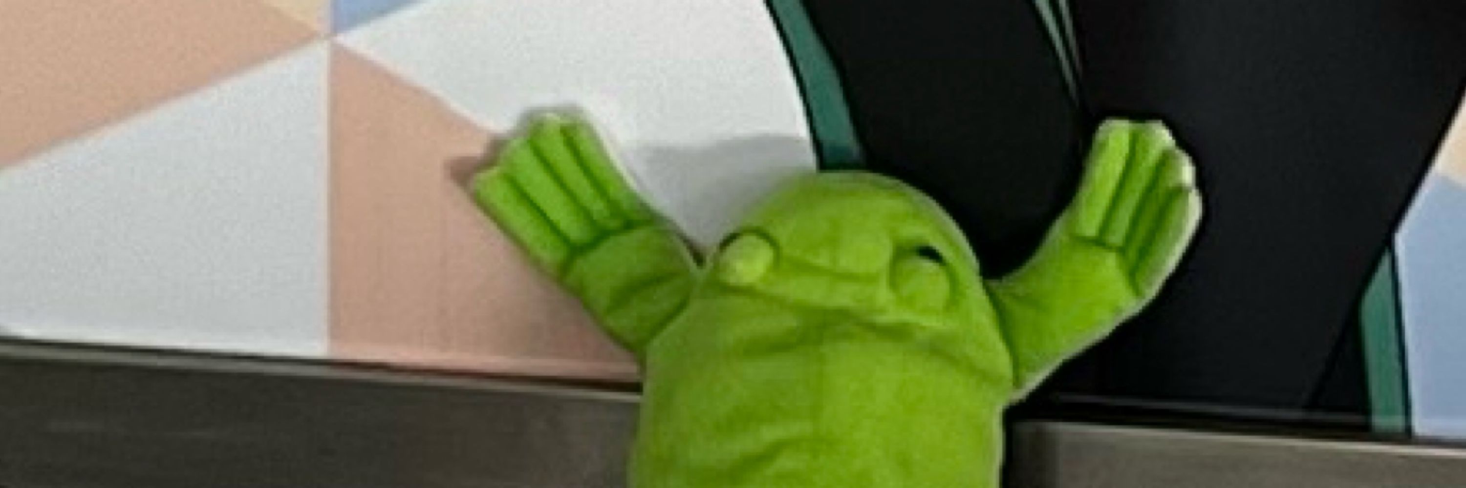 やんやん。