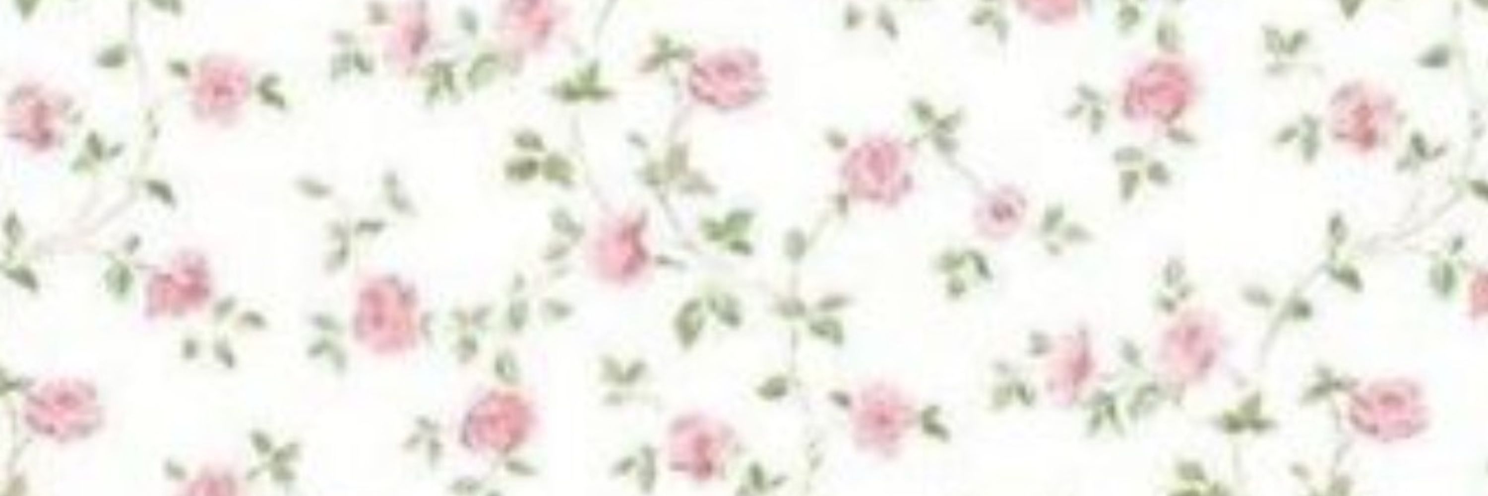 ୨୧˖ . ݁⊹₊.