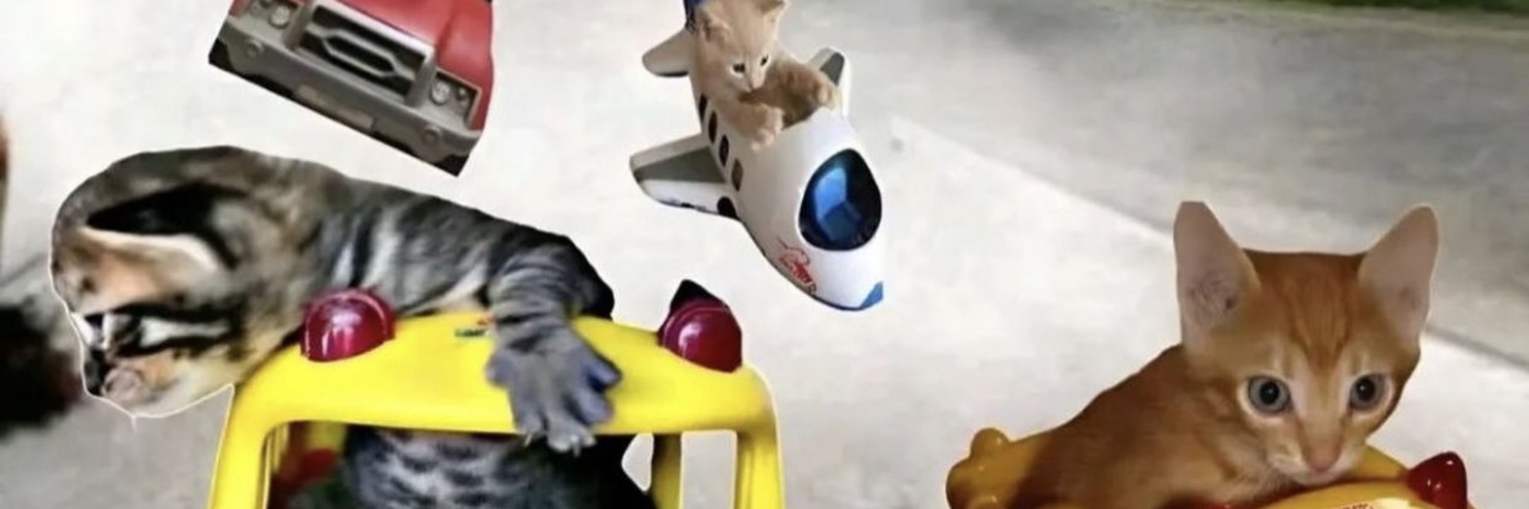 Roboboberto