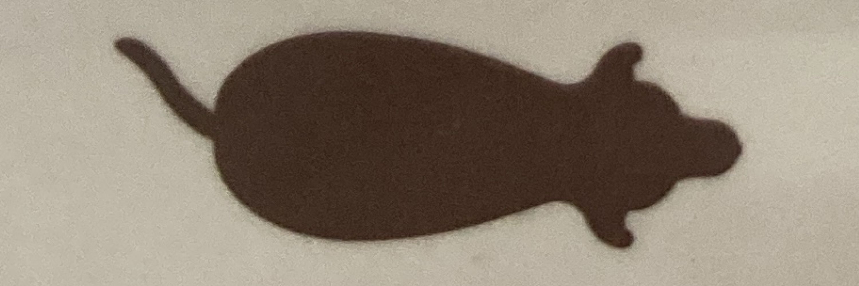 psicanalhice