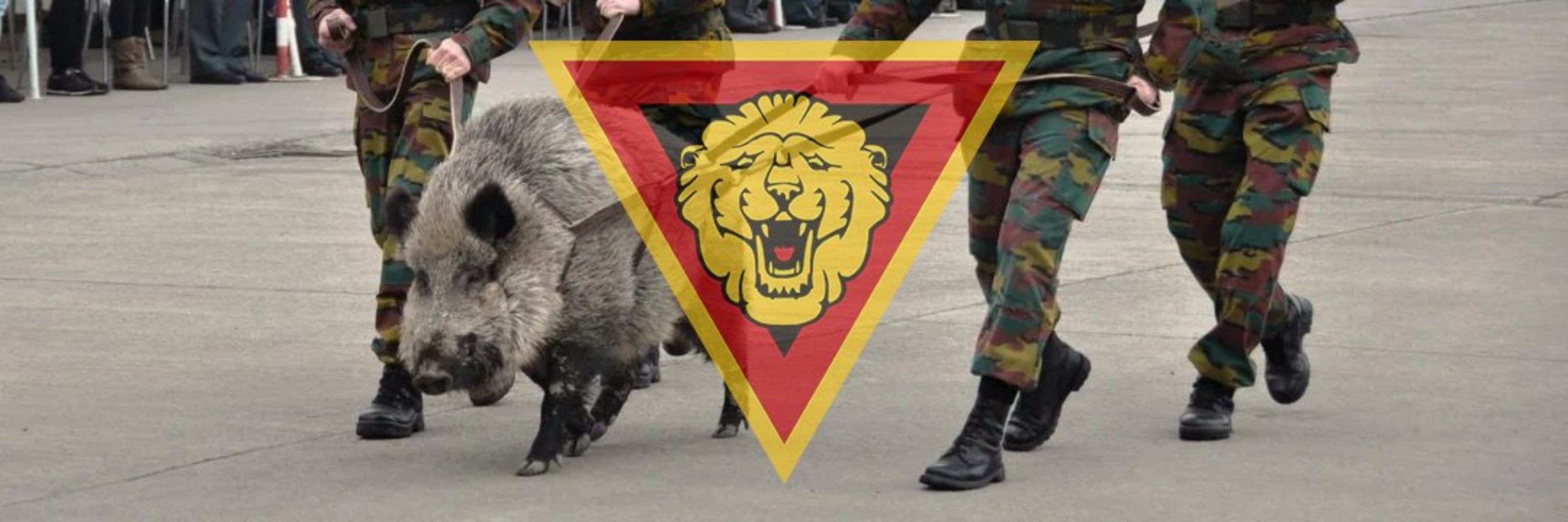 ᚨᚾᛞᚱᛖᚨᛊ 🔻 🇪🇺🤝🏻🇺🇦🇵🇸🇬🇪🇻🇪