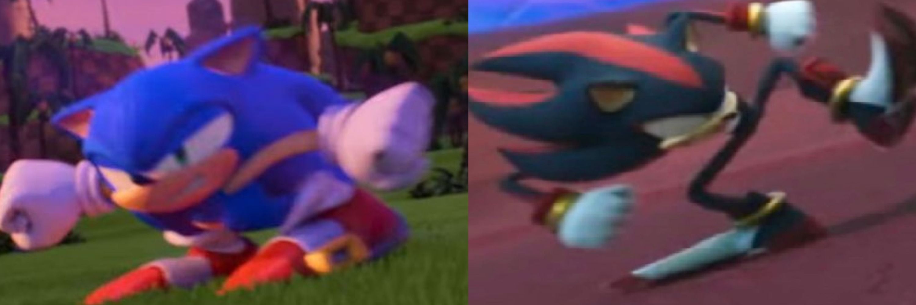 Fabri the Hedgehog